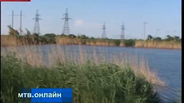 В Волгограде 139 водоемов обработают от комаров смотреть онлайн
