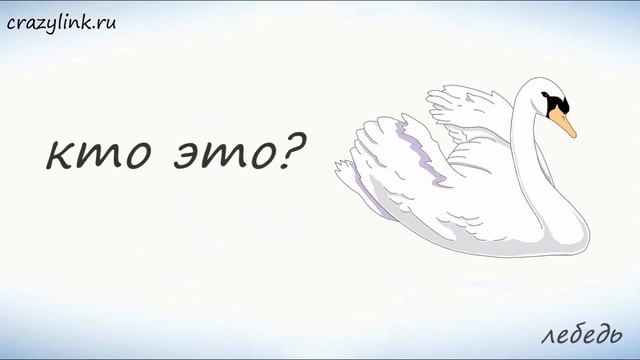 Птицы на английском. Часть 2. смотреть онлайн