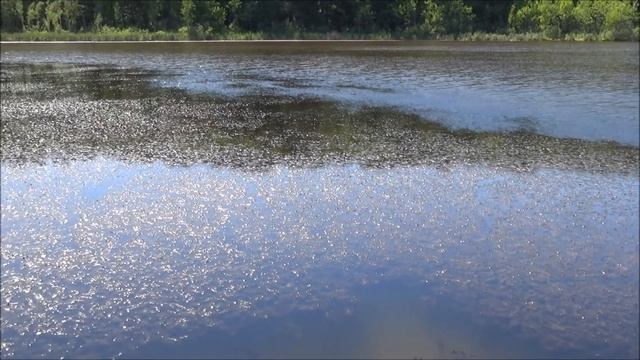 ЧЁРНОЕ ОЗЕРО смотреть онлайн