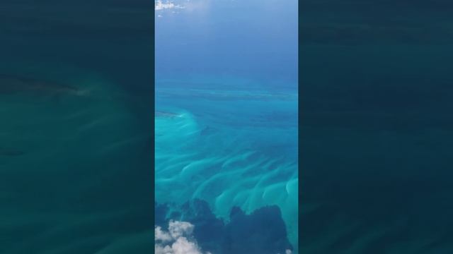 OCEAN смотреть онлайн