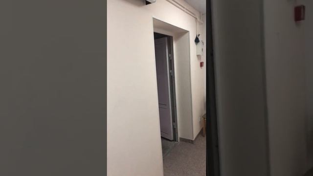 Рентгенозащитные двери смотреть онлайн