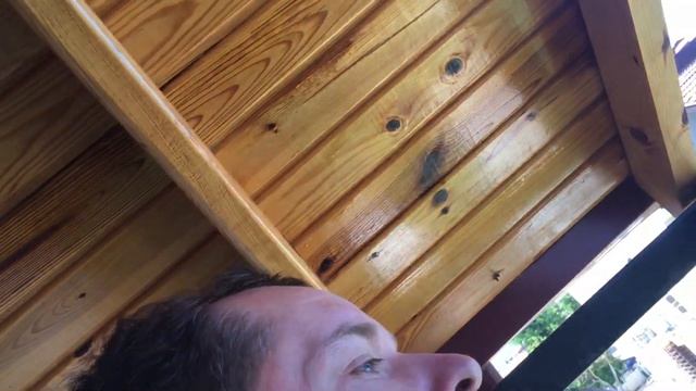 Незнакомое дерево в Турции смотреть онлайн