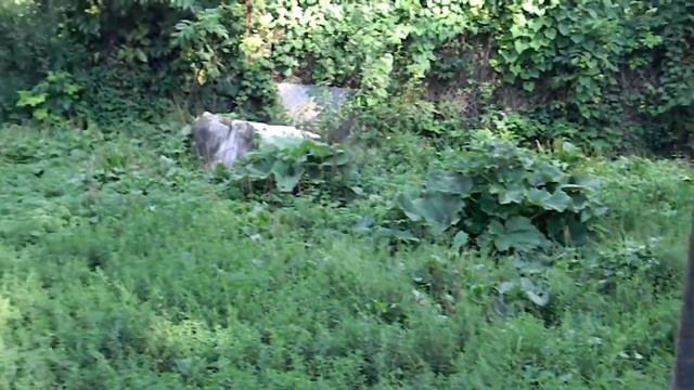 Бухара 1 смотреть онлайн