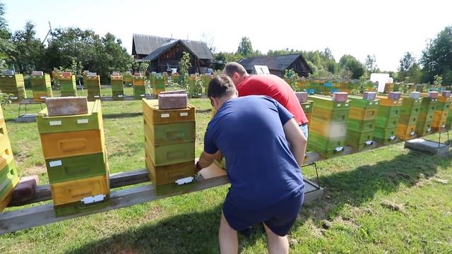 Убить клеща #варроа и не убиться самому: тест китайского спрея смотреть онлайн