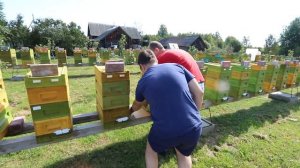 Убить клеща #варроа и не убиться самому: тест китайского спрея