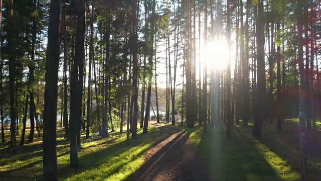 Видео для скачивания(4К) смотреть онлайн