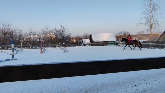 я и Карат + схема смотреть онлайн