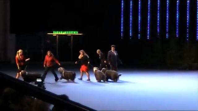 Bis-breeder shortcut at Helsinki Winner 2012 смотреть онлайн