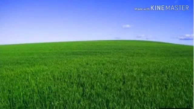 Сура Ясин 10 раз защищает от рака и сглаза и порчи смотреть онлайн