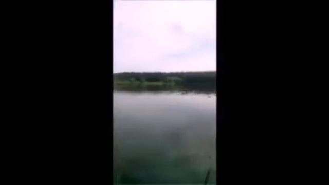 Жуковский пруд смотреть онлайн