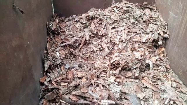 Измельчитель сосновой коры от окорочника. Мульча для голубики. +375295863688 смотреть онлайн