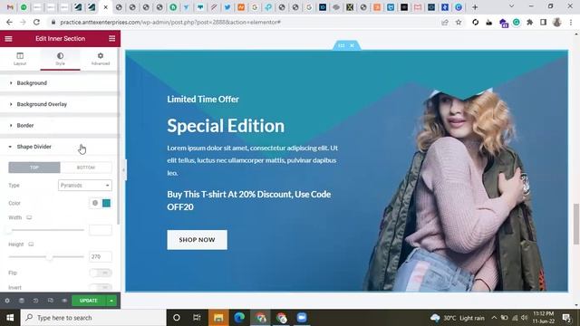 WordPress Designing Shape Divider & Border Radius смотреть онлайн