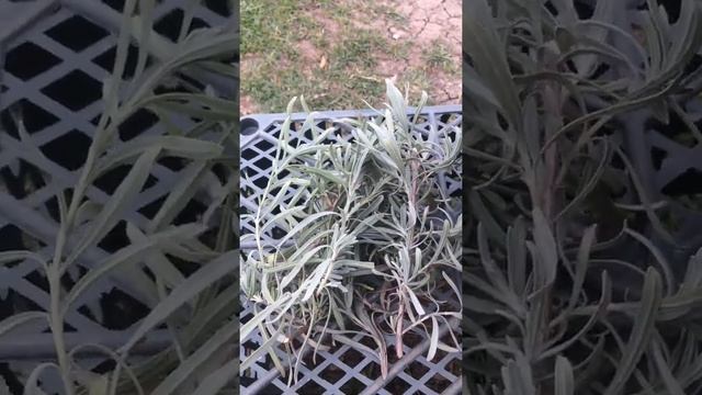 Стройка Видеоглазом