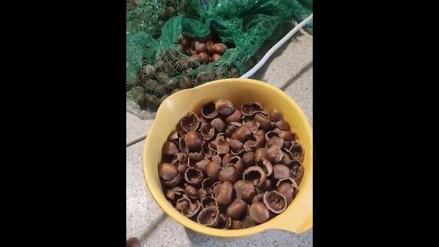 Как колоть фундук быстрее. смотреть онлайн