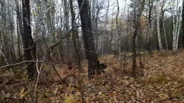 GRANDENIKO ВСЕГДА В СТАЛИНКЕ. САМВЕЛ ПРОГОВОРИЛСЯ И ПОКАЗАЛ МАТЬ