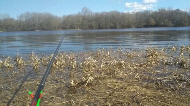 Рыбалка на Сопу на удочку, река Волхов, 22 апреля 2023 смотреть онлайн