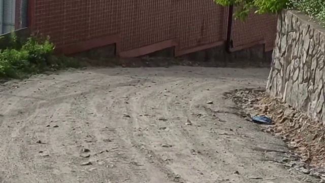 Vlog \\ Иду на бокс! ?/ daaarya смотреть онлайн