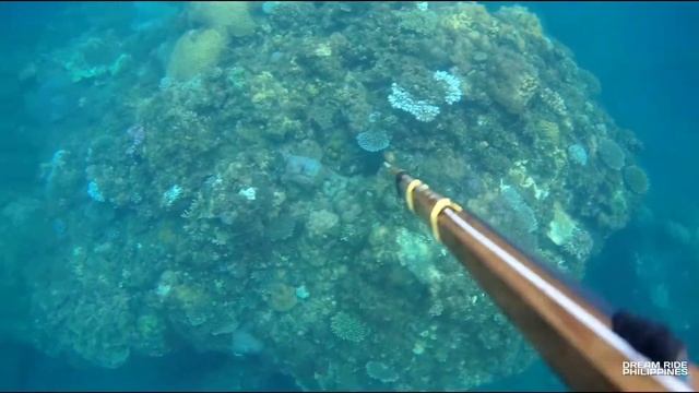 SJ10 PRO By SJCAM (Underwater Footage See Quality) смотреть онлайн