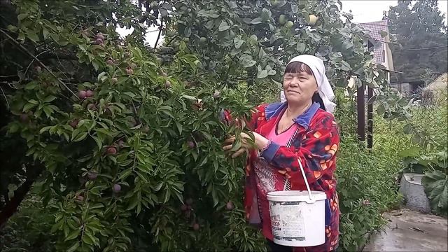 Мы родом из Белокаменного! смотреть онлайн