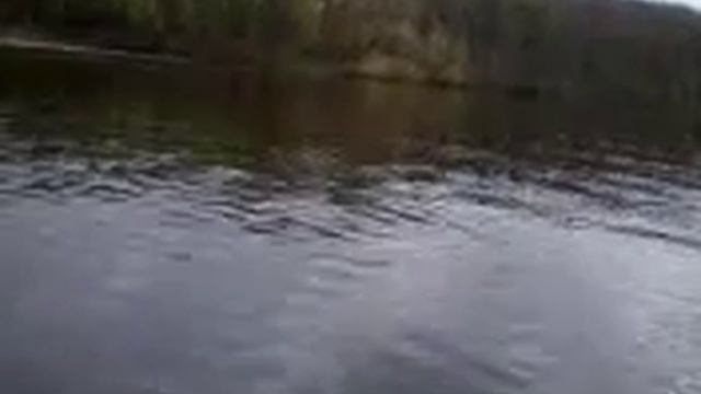 Łódź wiosłowo-motorowa + Yamaha 9.9 HP смотреть онлайн