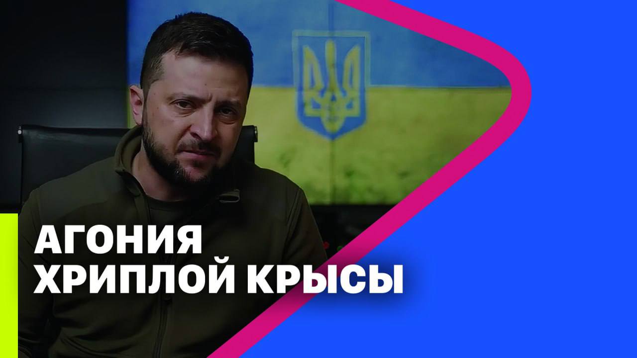 ⚡️АГОНИЯ ХРИПЛОЙ КРЫСЫ // Тарик Незалежко // МРИЯ