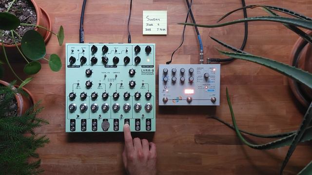 Soma Labs Lyra 8 Ambient Performance [No Talking] - Day 12 out of 30 смотреть онлайн