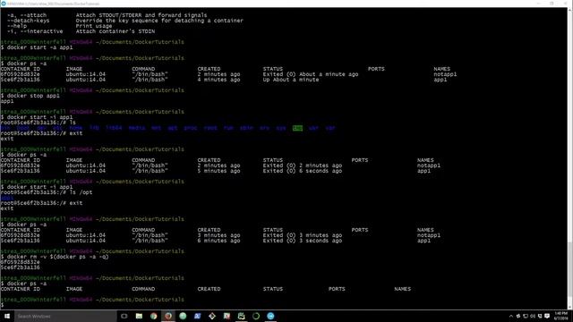 Docker: Working with Images and Containers (Ep2) смотреть онлайн