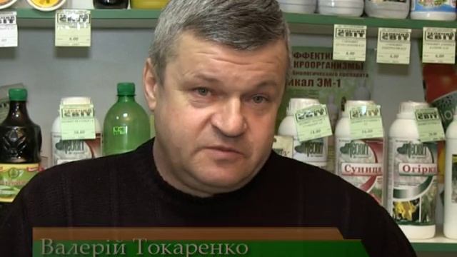 Сам себе агроном - Элитный картофель. смотреть онлайн