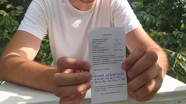 Бакфаст матка И О  от Марата Никитенко MAN