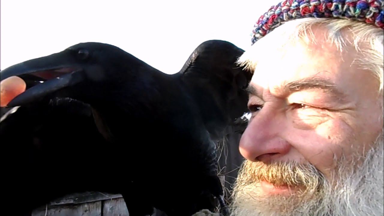 Никогда не знаешь что найдешь, что потеряешь. смотреть онлайн