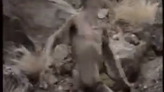 Очень средняя азия.. смотреть онлайн