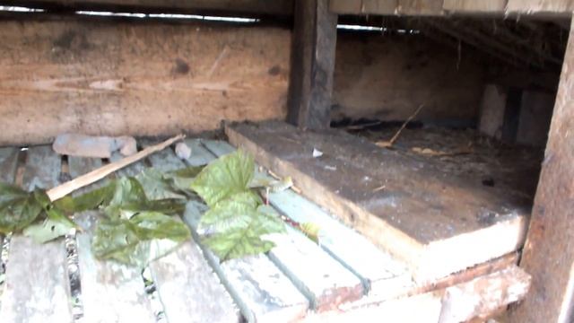 кролики на даче №2 смотреть онлайн