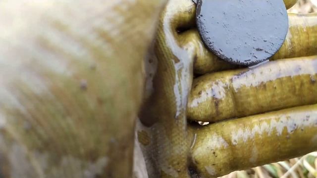 ЗНАЙШЛИ МАСОНСЬКИЙ ДУКАЧ НА ЦІЛЕНІ! ПОШУК З XP DEUS І QUEST Q30! КОП 2022! смотреть онлайн