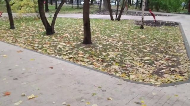 "Эффективная" капиталистическая экономика Собянина смотреть онлайн