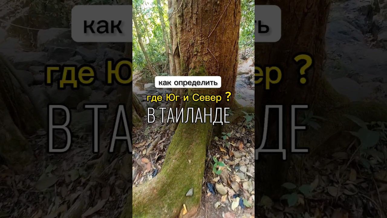 Советы бывлого путешественника. Лучшие экскурсии в Паттайе #экскурсиивпаттайе смотреть онлайн