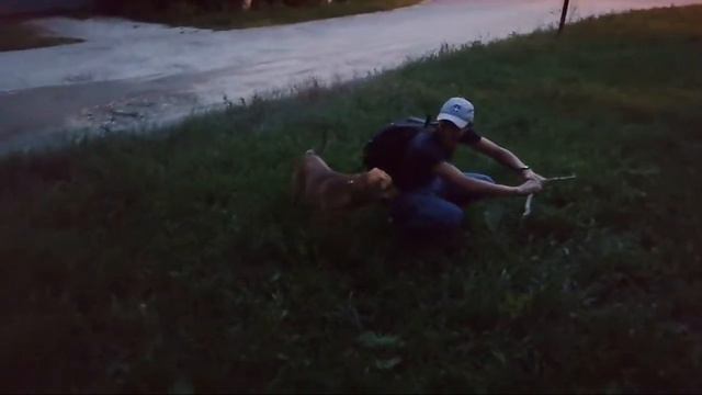 Здесь Вишню Не Рви смотреть онлайн