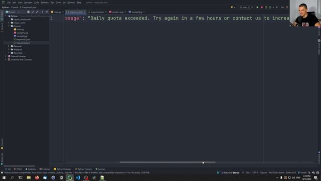 Automatic OCR Receipt & Invoice Parsing in Python смотреть онлайн
