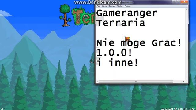 TERRARIA  GAMERANGER PROBLEM PLZZZ HELP