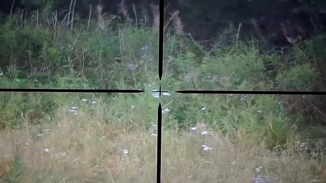 04.08.2020 Медведь смотреть онлайн