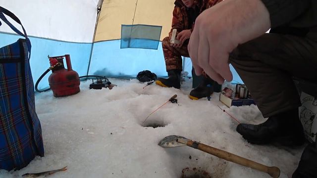 РЫБАЛКА С ЖЕРЛИЦАМИ НА НИЖНЕТАГИЛЬСКОМ ПРУДУ, ИЩЕМ ЩУКУ И ОКУНЯ! РЫБАЛКА НА УРАЛЕ! смотреть онлайн