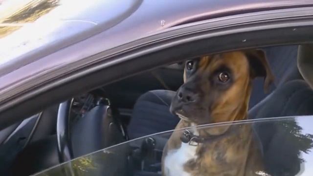 Автошкола УГК им. Ползунова