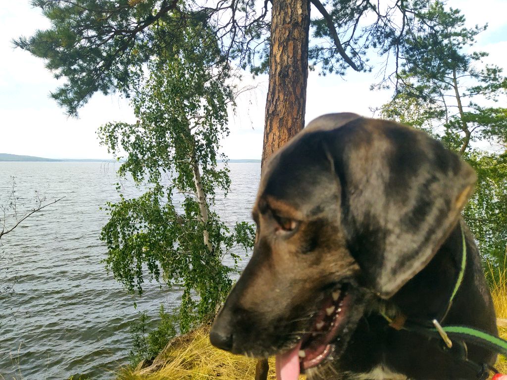 заходите будет весело смотреть онлайн