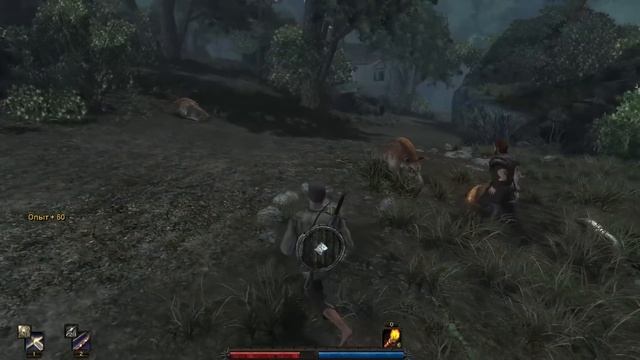 Прохождение: Risen | Осваиваем Остров | Часть 2 | DAMIANoNE смотреть онлайн