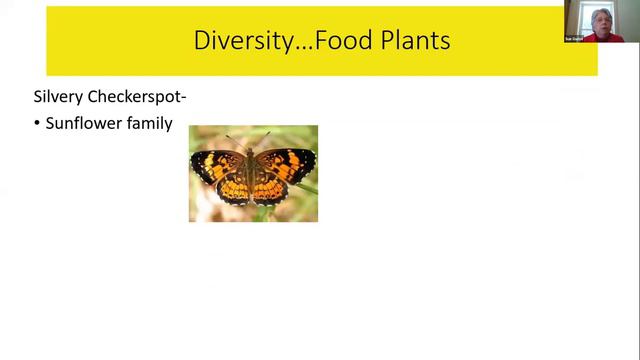 The Power of Native Plants Webinar 1/14/2021 смотреть онлайн