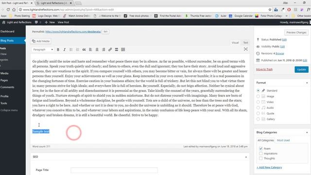 Wordpress Log in, Edit and Add Post смотреть онлайн