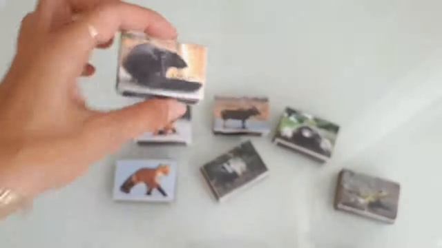 Matchbox Game - Food that Forest Animals Eat⠀ смотреть онлайн