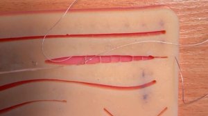 Running subcuticular suture. Косметический шов(по Шассеньяку и Холстеду) #sutures #косметическийшов