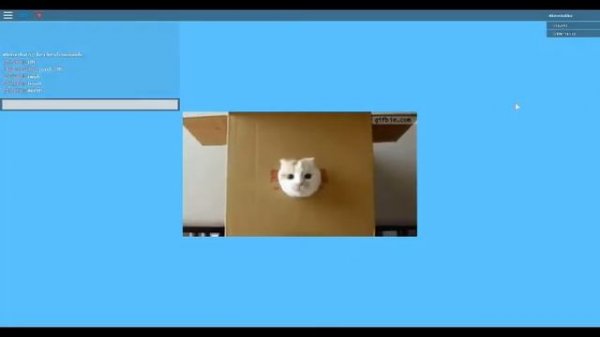 Cats play roblox