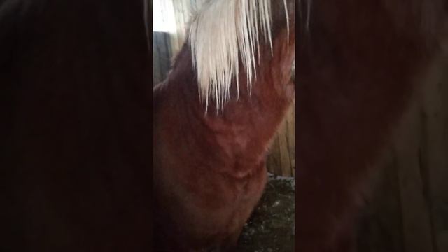 Советский тяжеловоз Алмаз ! 2 года 5 месяцев. смотреть онлайн