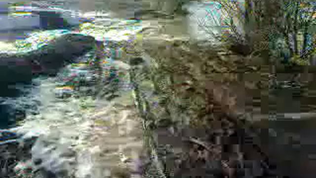 прорвало плотину в г.Барнауле Село власиха смотреть онлайн